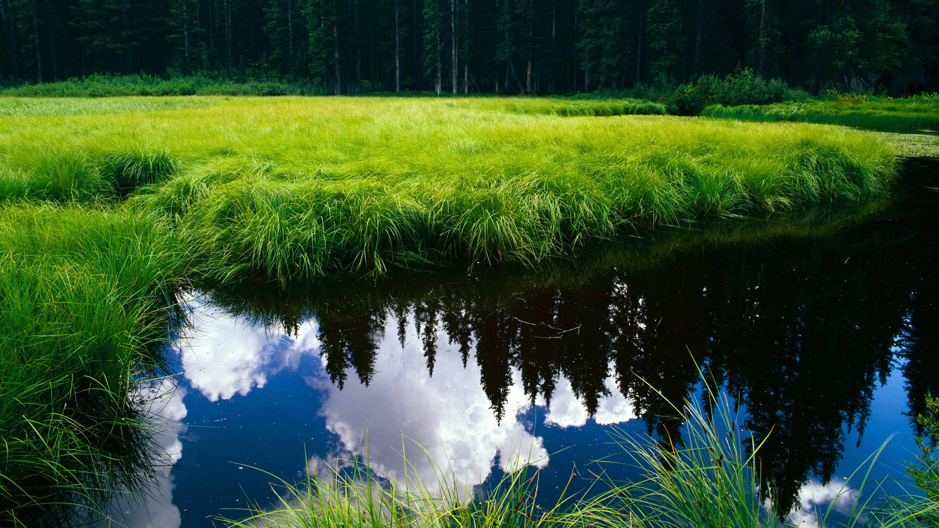 _篮网核心表现稳定，迎战强敌获胜_，篮网战术分析