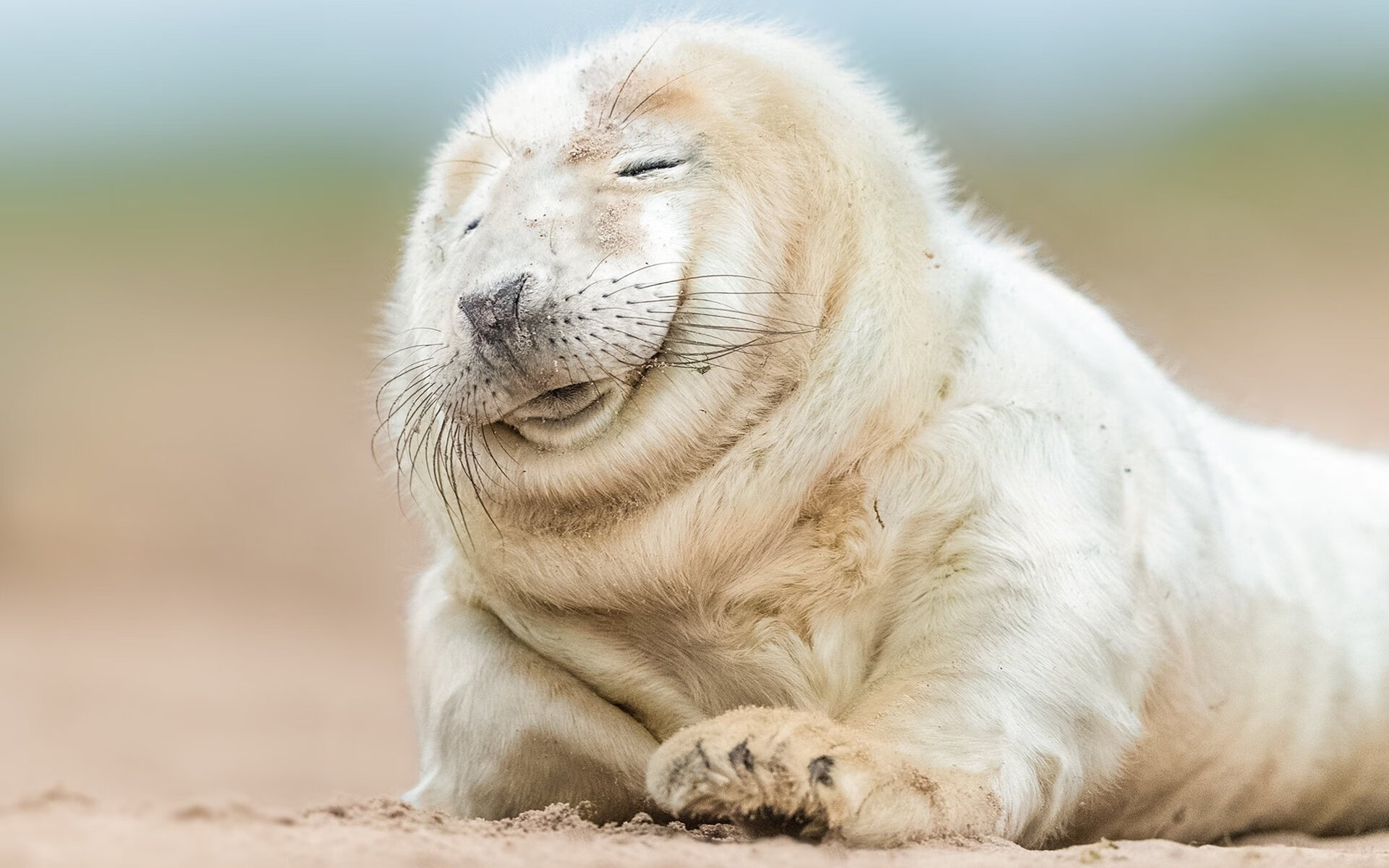 “足球+文化+科技”新模式带动行业跨界融合，行业未来可期，和足球相关的产业