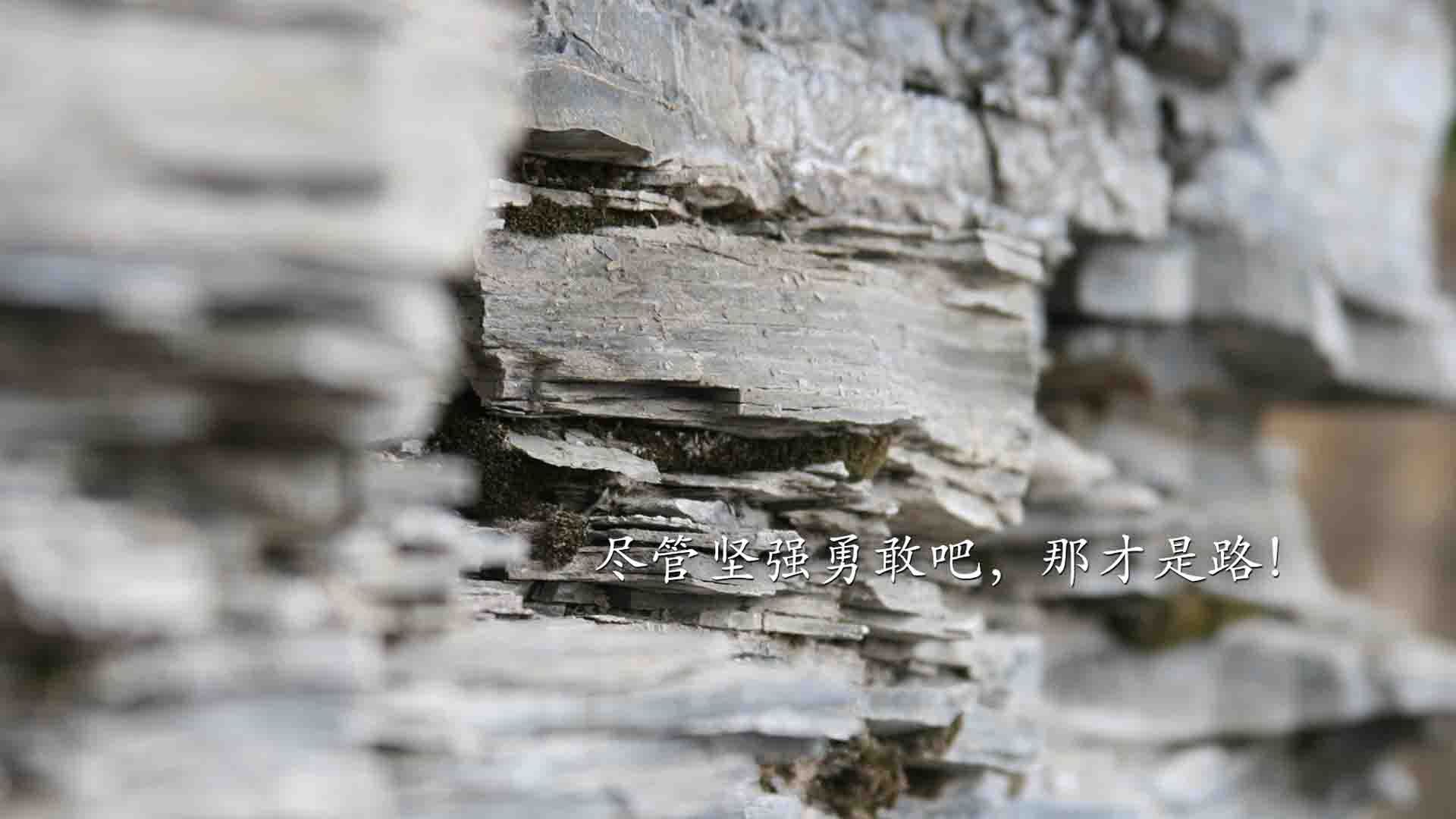 【绝杀瞬间】最后一球定义胜负,现场激动沸腾,最后一球是真实事件吗