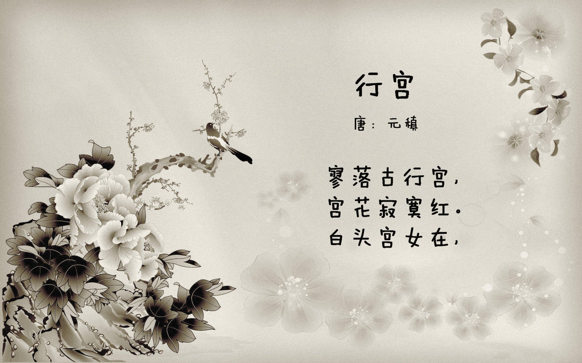 九游sports-未来之星计划，青少年篮球培养新模式，未来星篮球培训