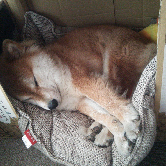 九游娱乐-未来两年联盟新政策：对球员和球队意味着什么？，nba未来联盟第一人