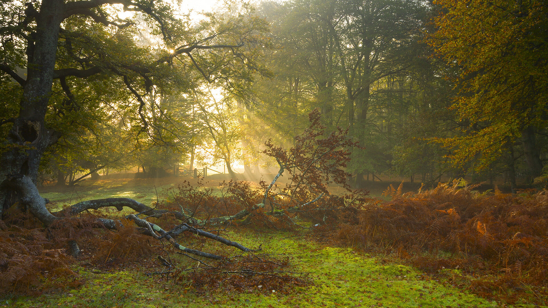 九游（jiuyou.com）游戏-绿色环保骑摩托，低碳出行新潮流，转载环保骑行