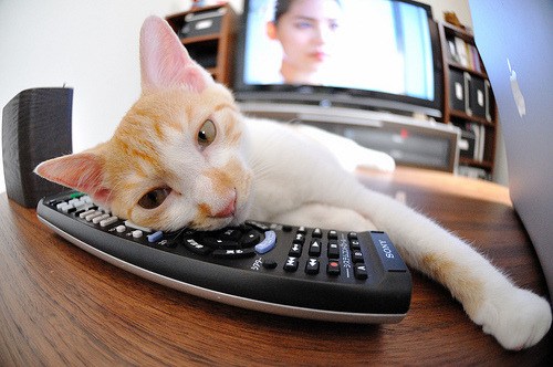 九游sports-青少年篮球“快乐成长”在河北开启，丰富校园文化，青少年篮球宣传文案