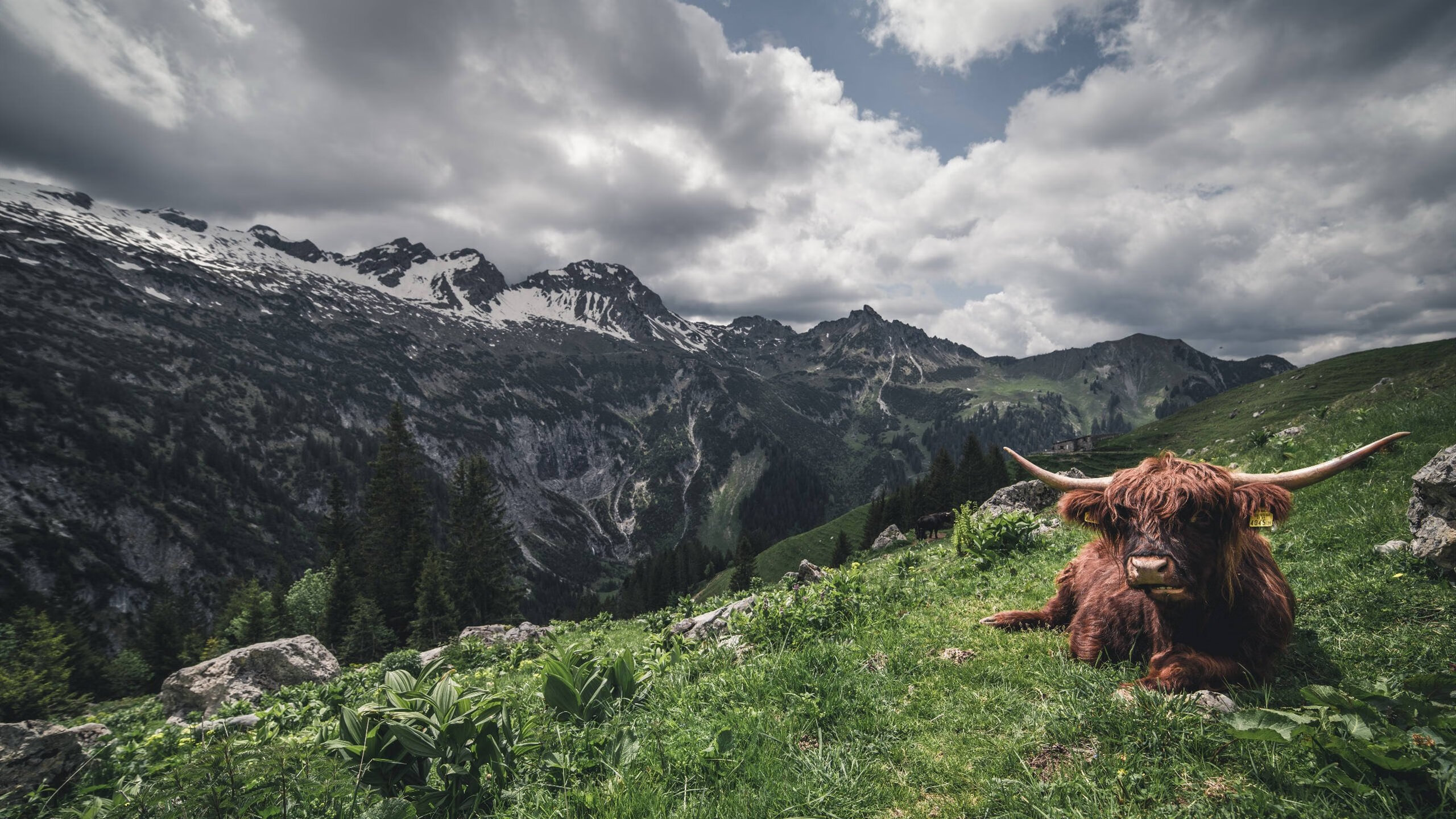 2024年澜沧江—湄公河合作大理马拉松成功举办,吸引15700名跑者参与,澜沧江湄公河视频