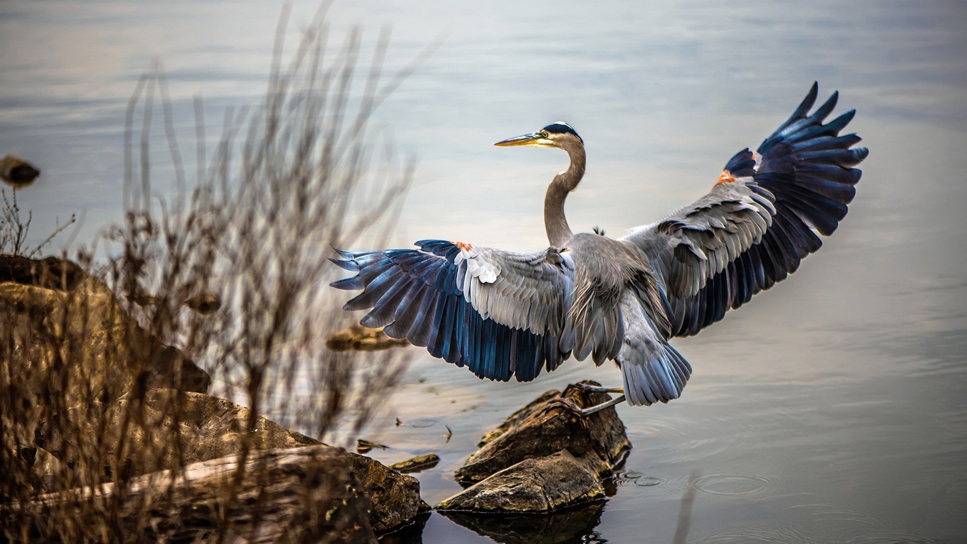 LPL赛区综合评分榜单公布，JDG位列榜首，英雄联盟lpl赛区排名