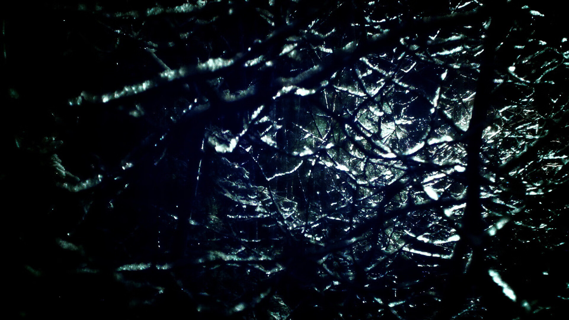 凯尔特人后卫线防守强度大增,凯尔特人队后卫