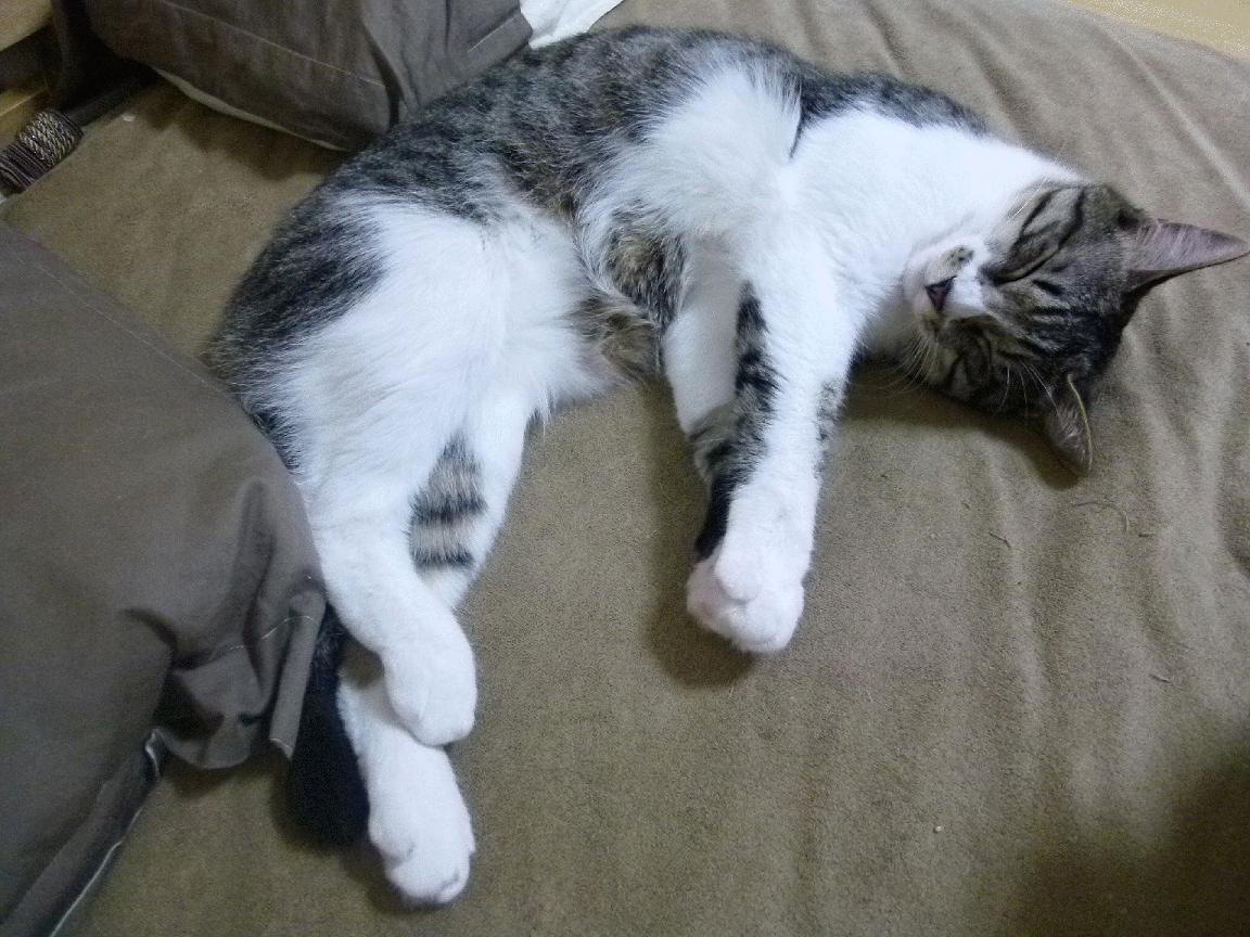 九游网游官网-女足联赛球迷人数持续攀升，女足比赛人数