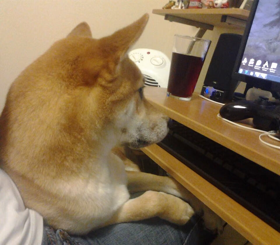 篮球运动员速度训练新方法，篮球运动员速度训练新方法有哪些