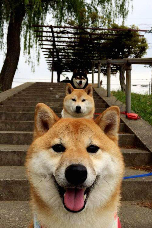 莱比锡连胜稳固领头羊位置,德甲争冠形势喜人,莱比锡球队厉害吗