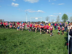 九游9游-全国青少年劳动体育竞赛各项赛事激烈进行，全国青少年劳动体育竞赛各项赛事激烈进行的原因