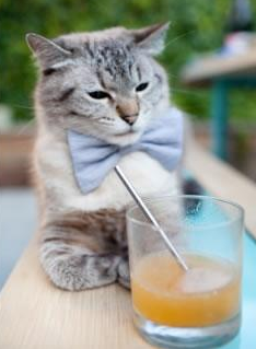 篮球运动员训练计划个性化制定与实施，篮球运动员身体素质训练计划