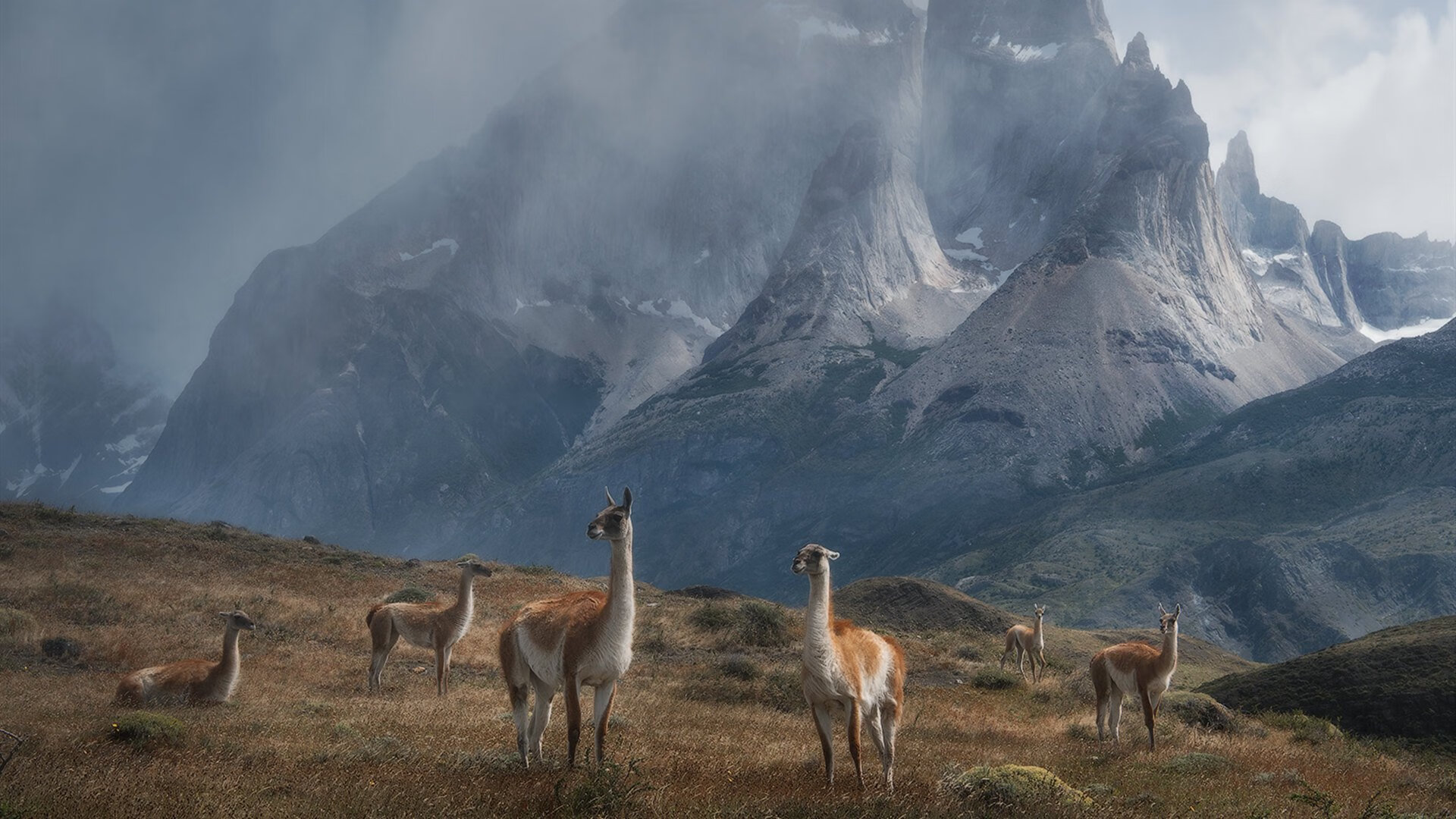 西甲球队利用热区分析调整防守站位,2021西甲用球