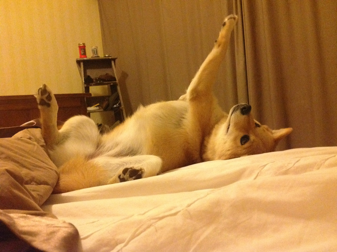 中超联赛U23国足惨败 数据回顾引发争议,2021中超u23规则