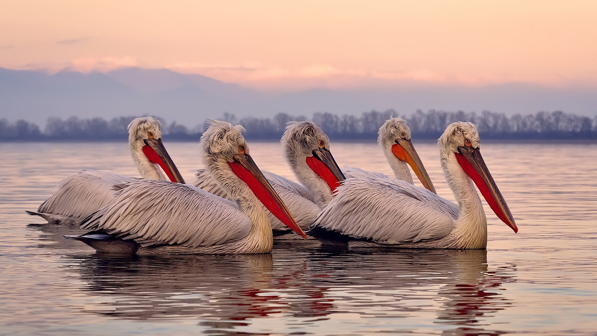 九游9游-中国香港队未来发展：如何通过国际交流推动技术革新与提升，香港队伍