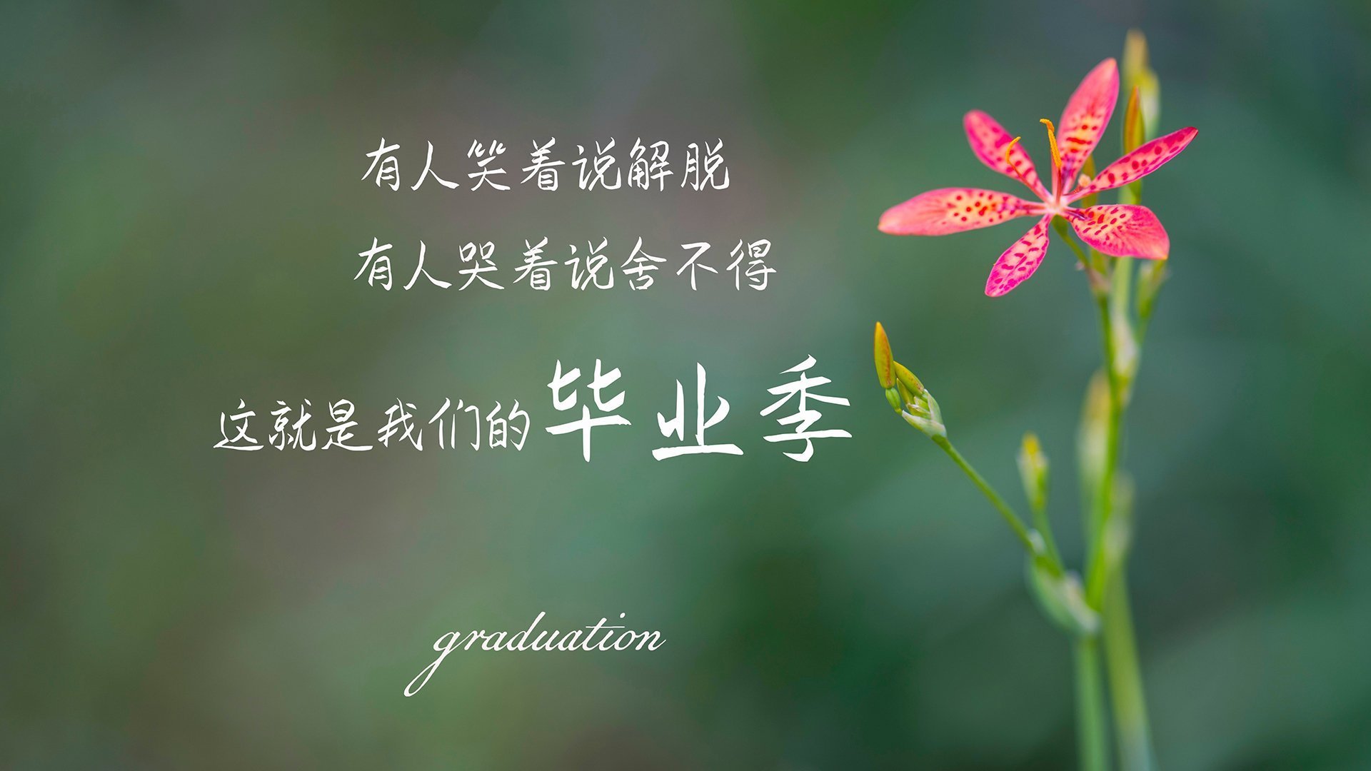 球迷文化复兴面临的最大阻碍,球迷文化复兴面临的最大阻碍是什么