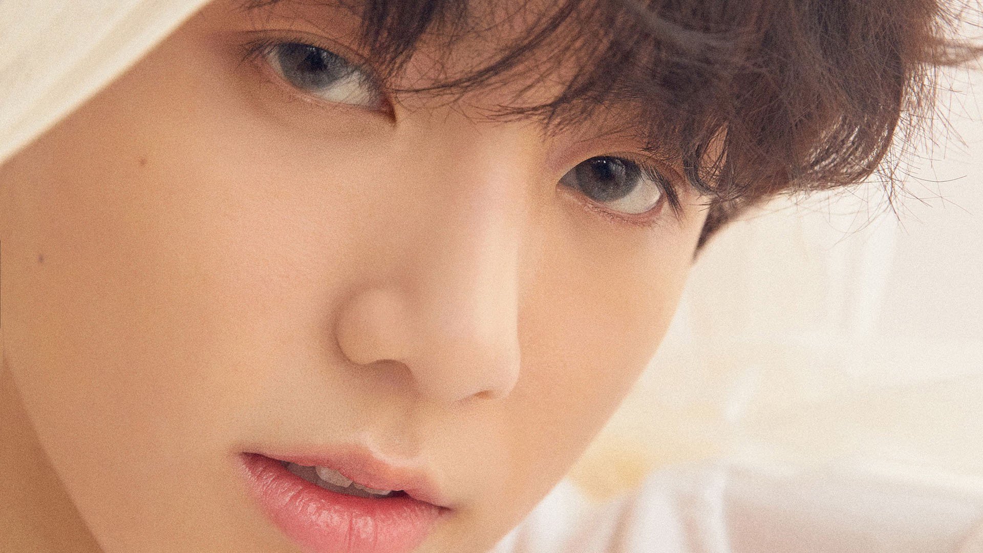 跳水梦之队公开训练展示高难动作,跳水梦之队搞笑视频