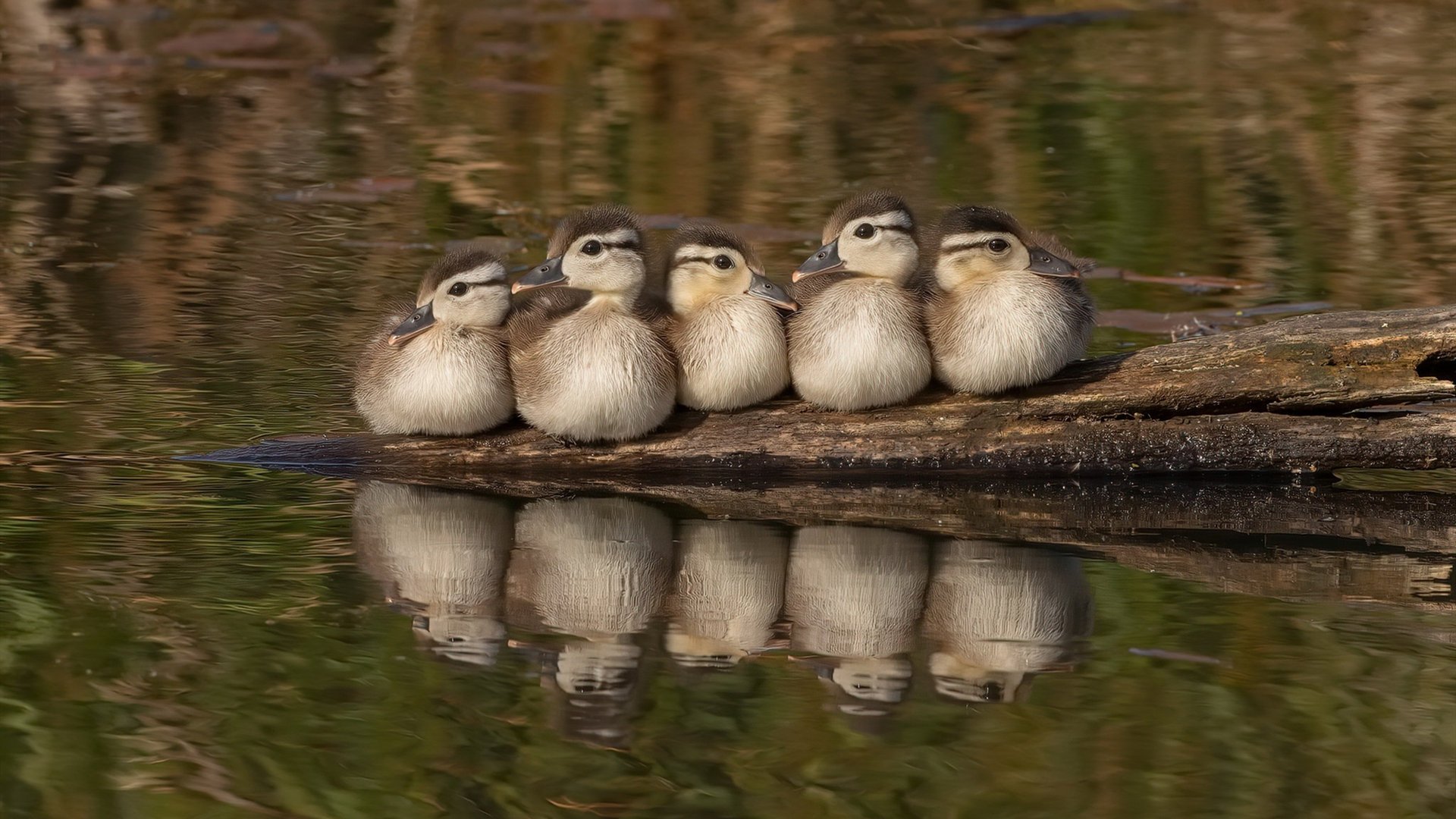 中乙俱乐部推进球场改造工程提升比赛场地质量,中乙俱乐部靠什么赚钱