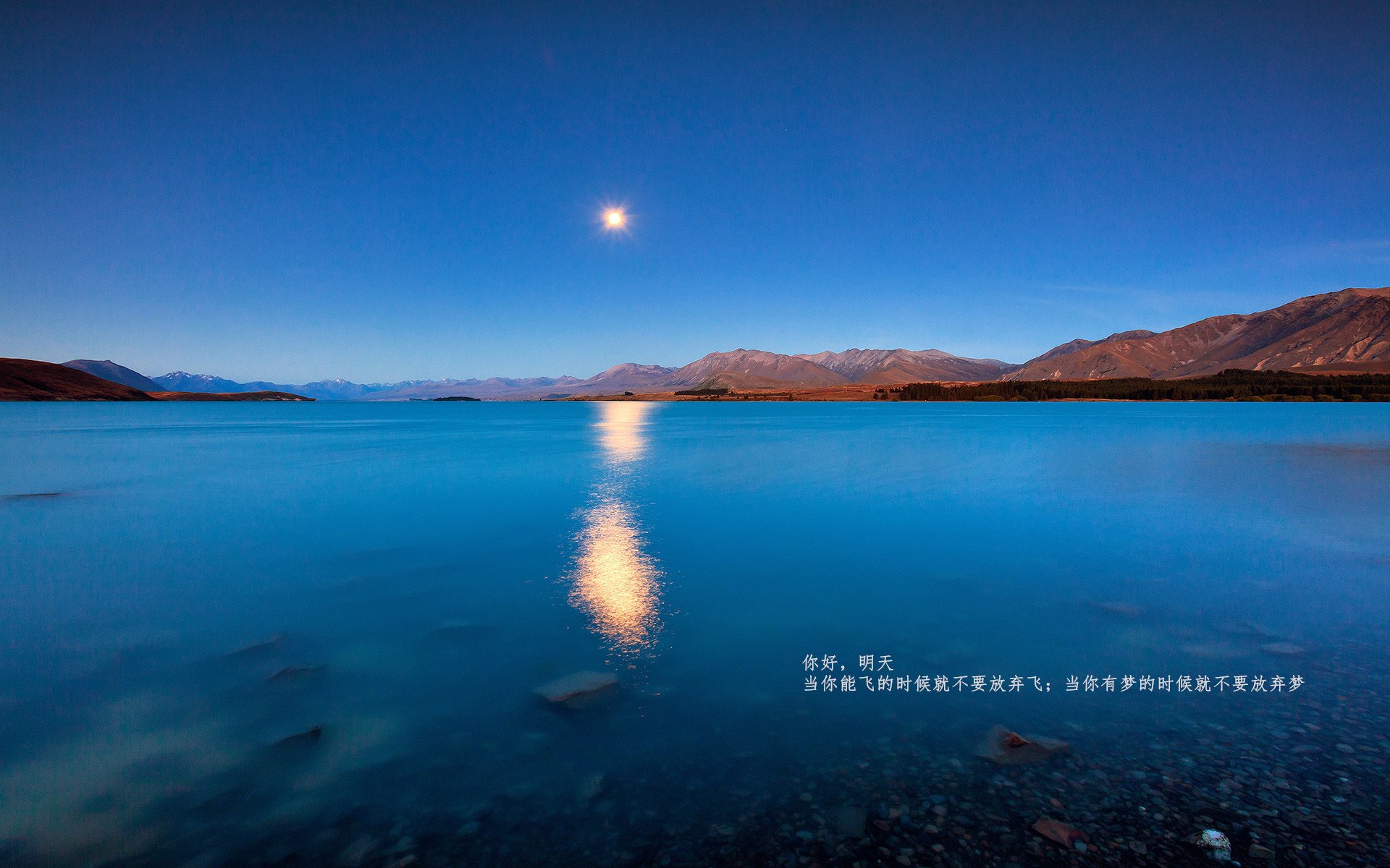 国内联赛观赛人数创新高体育热情持续升温,体育赛事观众人数排行