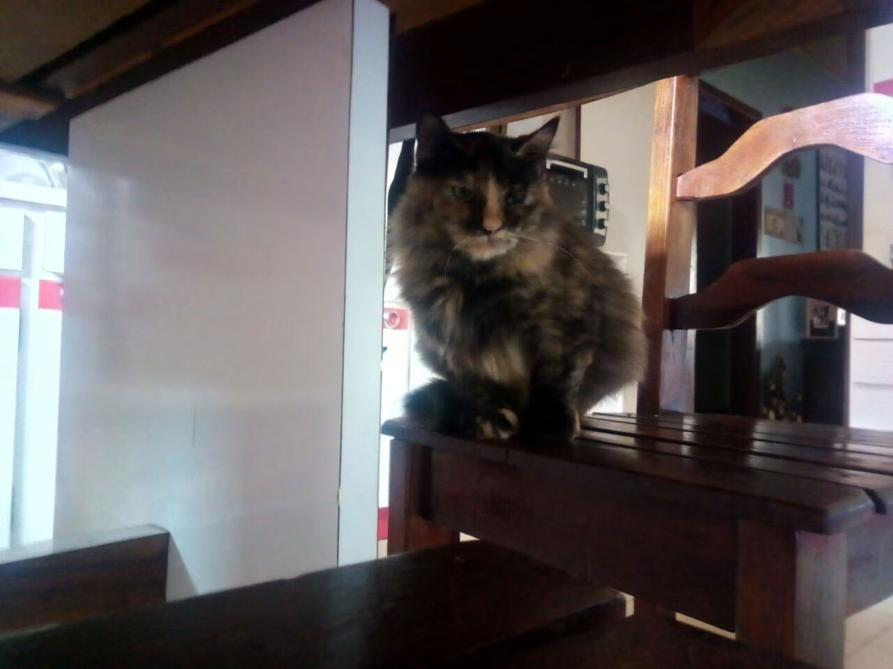 尼尔·巴特尔的防守反击帮助袋鼠队攻守平衡,控制比赛节奏,巴特尔能防住奥尼尔吗