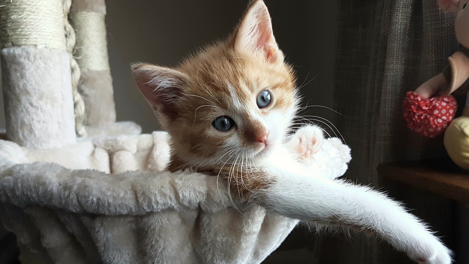 库里开设公益训练营扶持低收入学生,库里做慈善有哪些