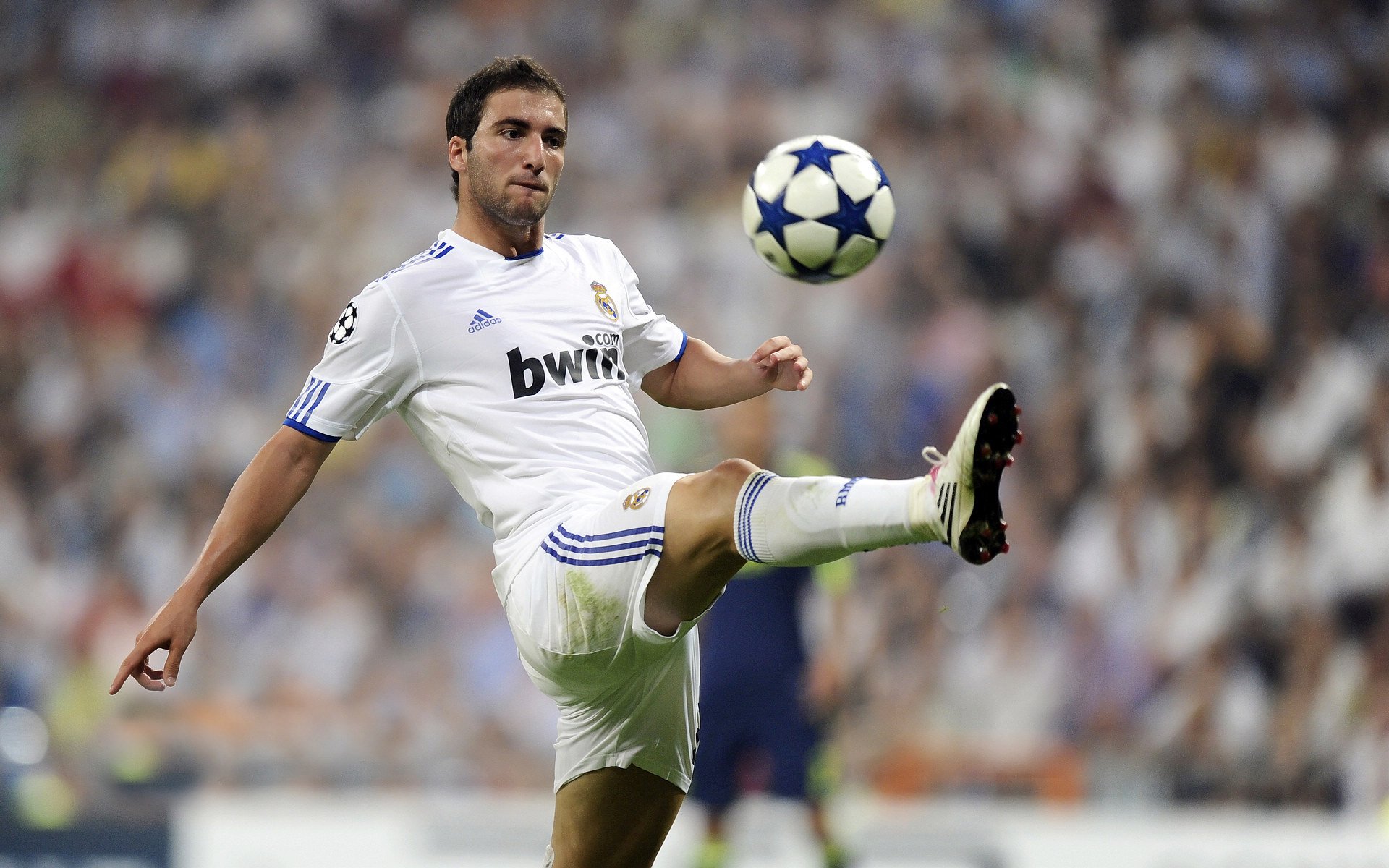 戴维·帕特森助袋鼠队攻守兼备,打破对方防线,戴维帕特尔