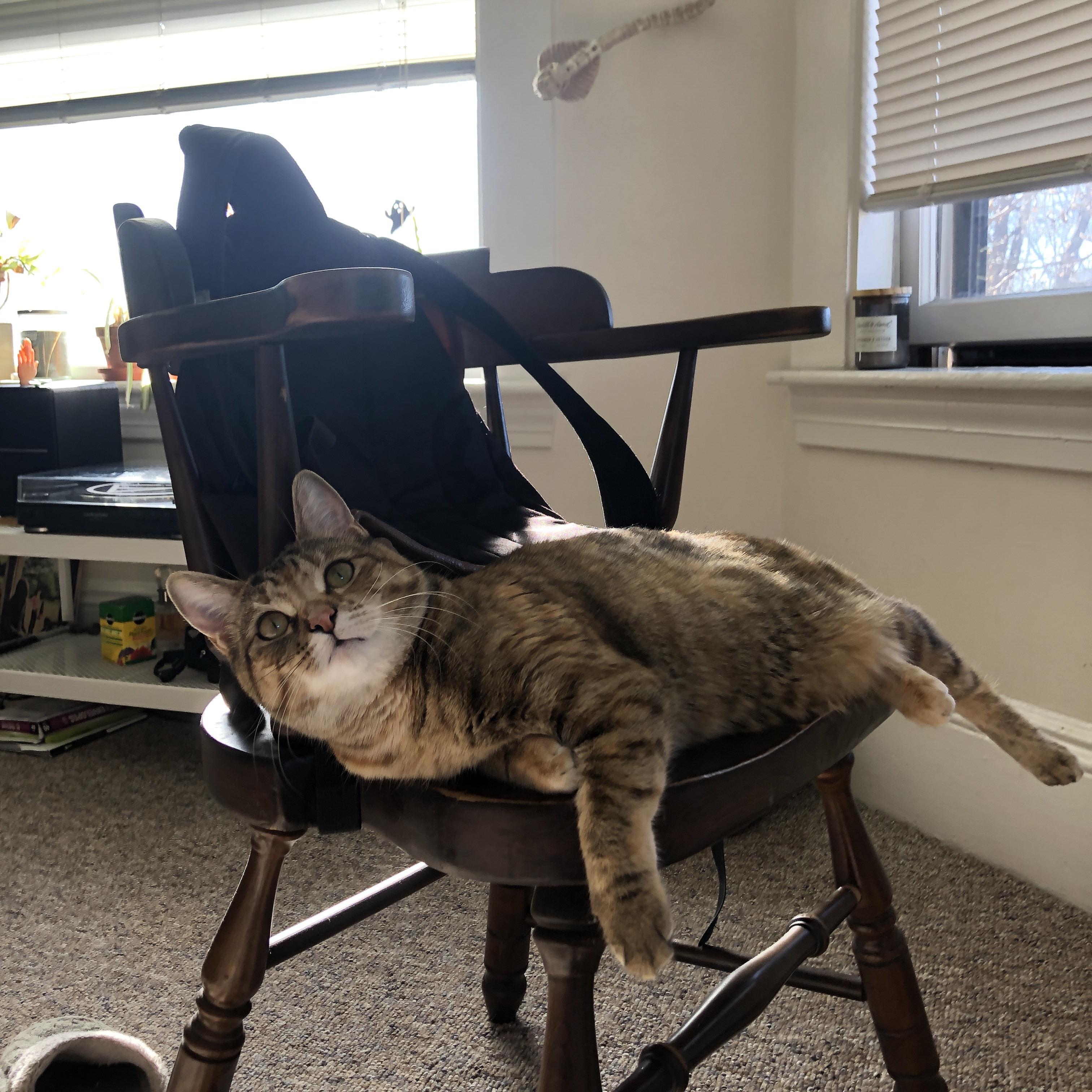 新一轮校园足球政策扶持力度加大提高参与覆盖面，国家出台关于校园足球的政策