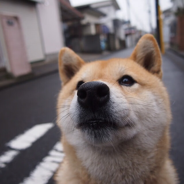 九游app下载中心-英超疯狂反击：快节奏让场面热血沸腾，英超太强